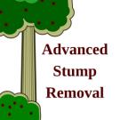 Advanced Stump Removal