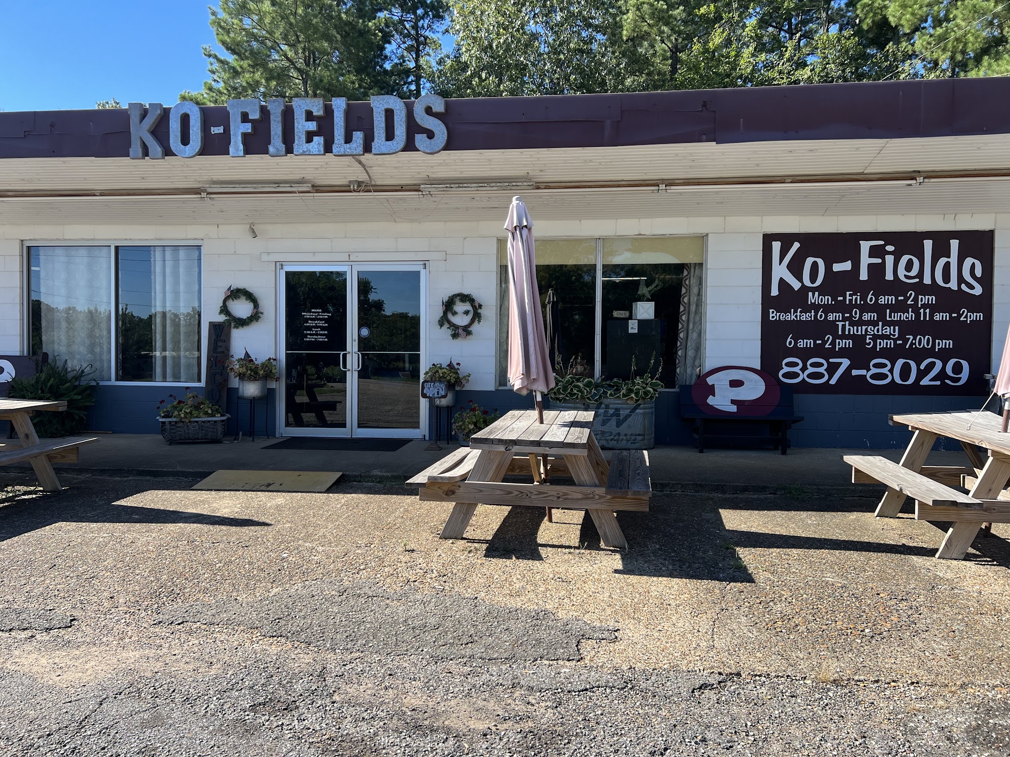 Ko-Fields