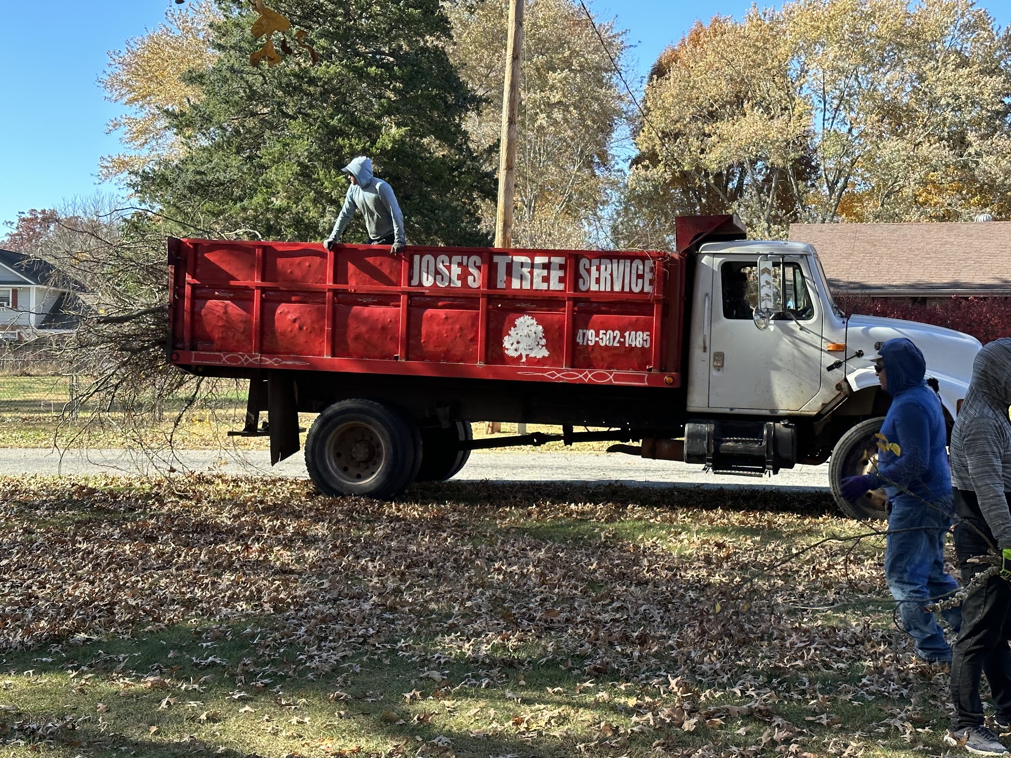 Jose's Tree Service