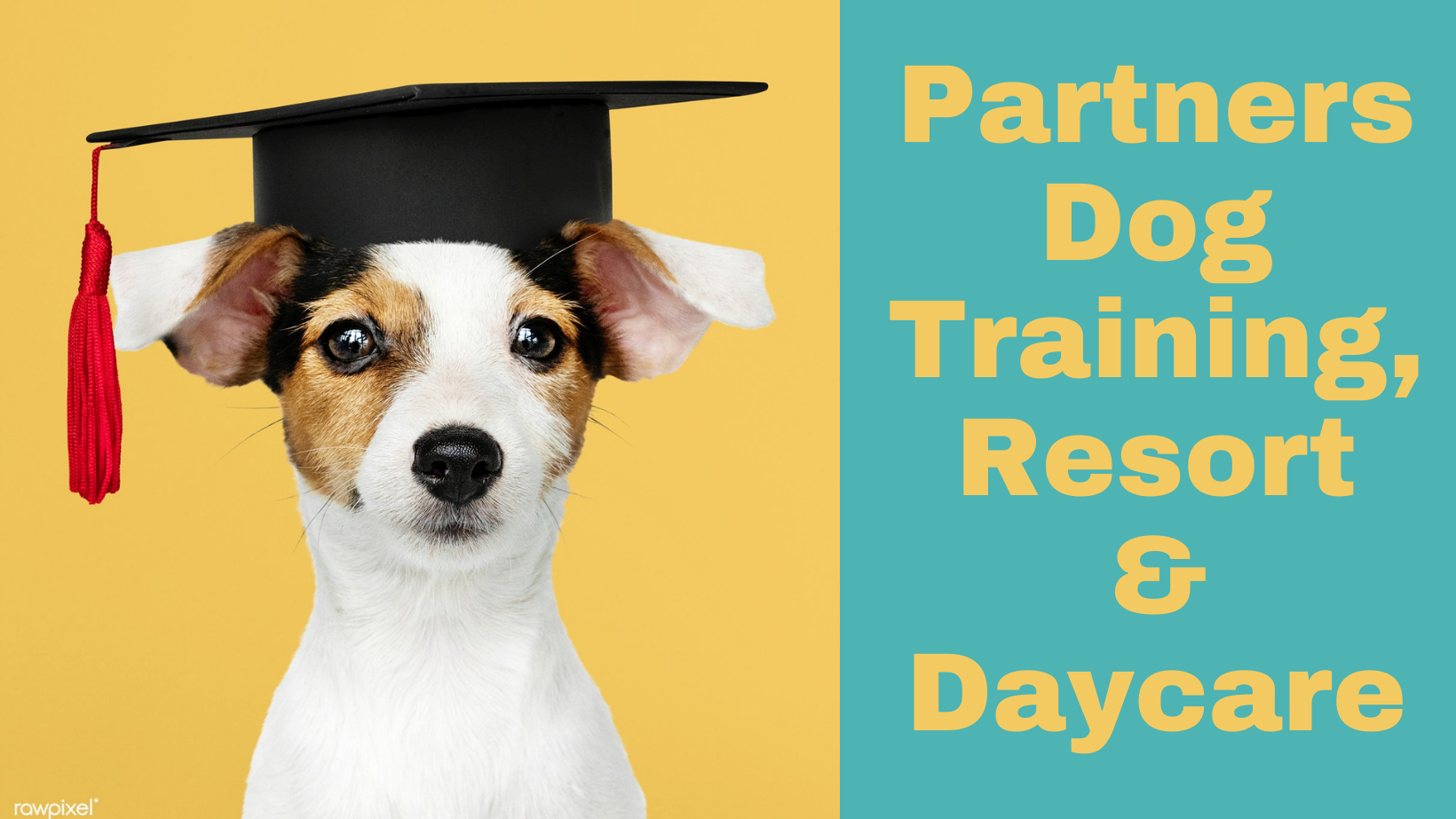 Partners Dog Training, Resort and Daycare