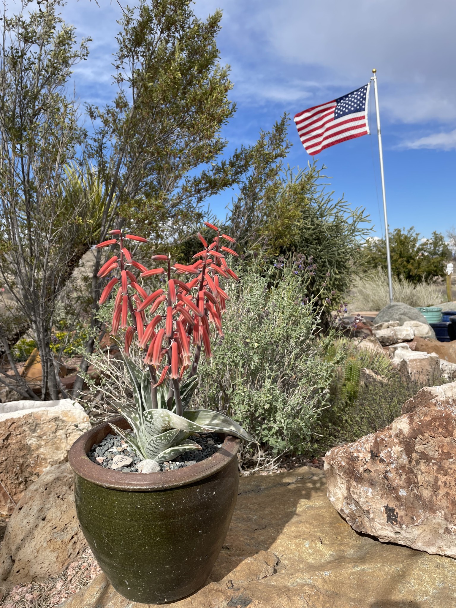 Arizona Botanical Gardens 1011 Wildhorse Ln, Clarkdale Arizona 86324