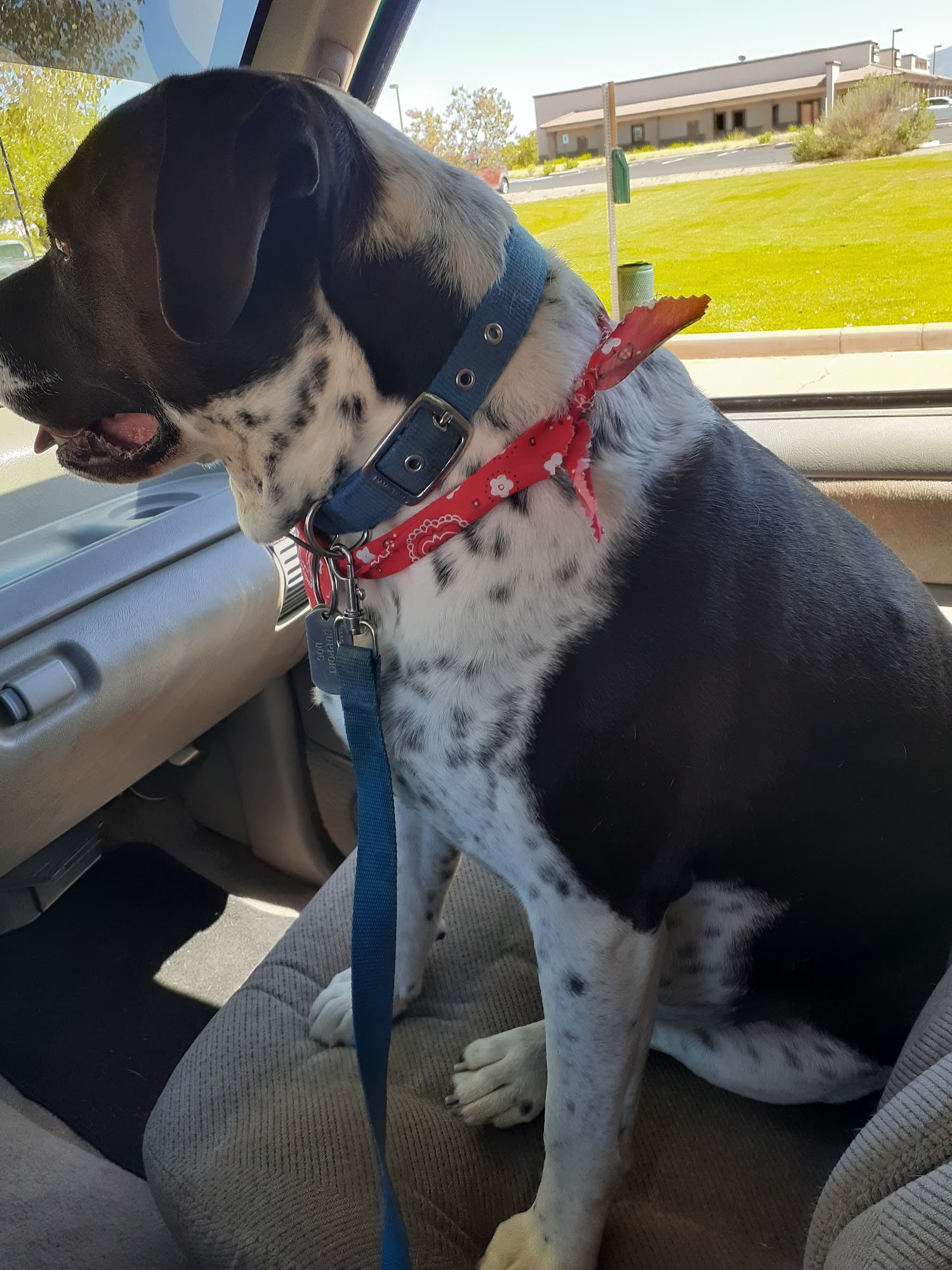 Goin' to Grandma's Hereford