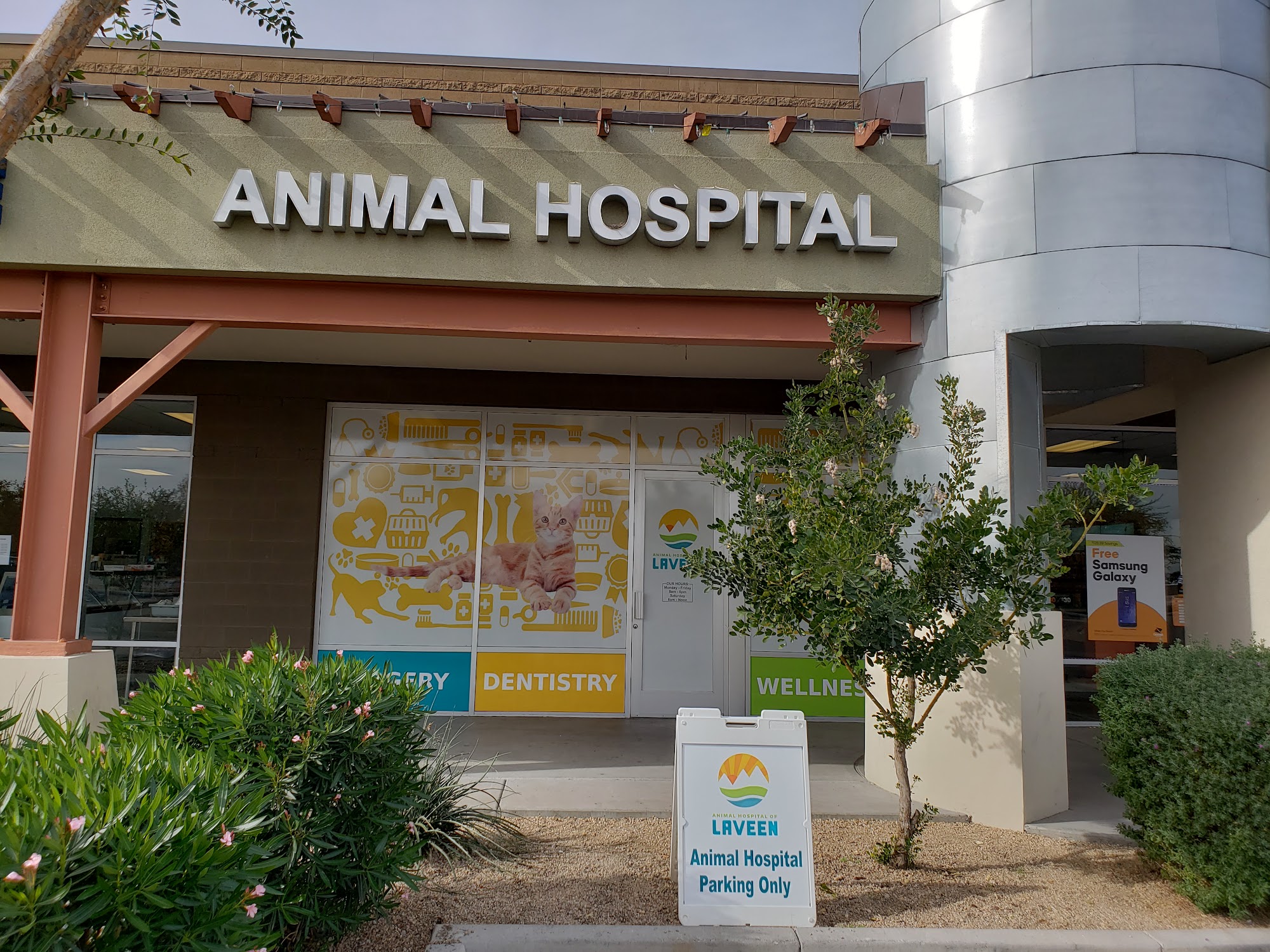 Animal Hospital of Laveen