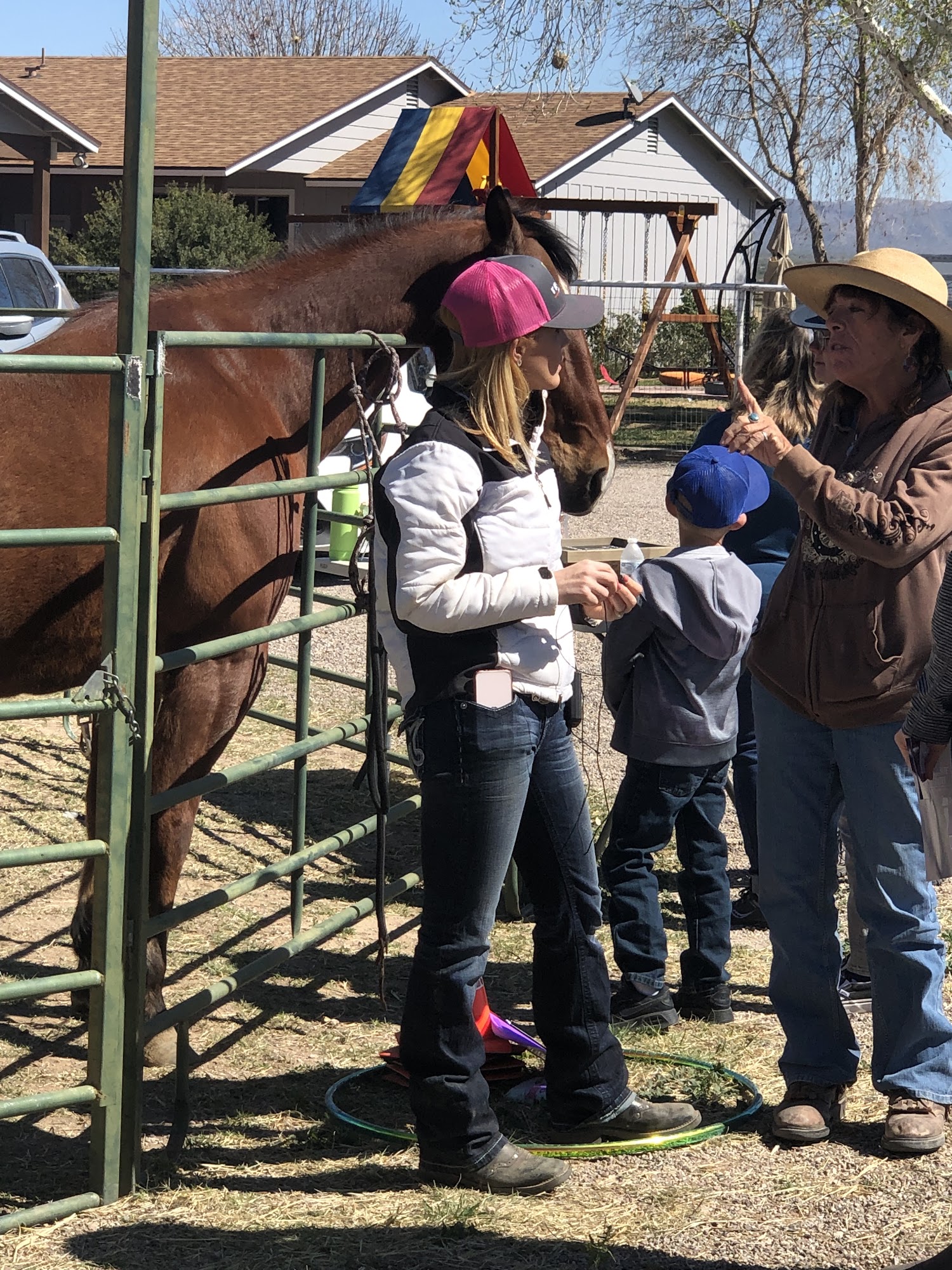 Triple L Feed & Supply Marana