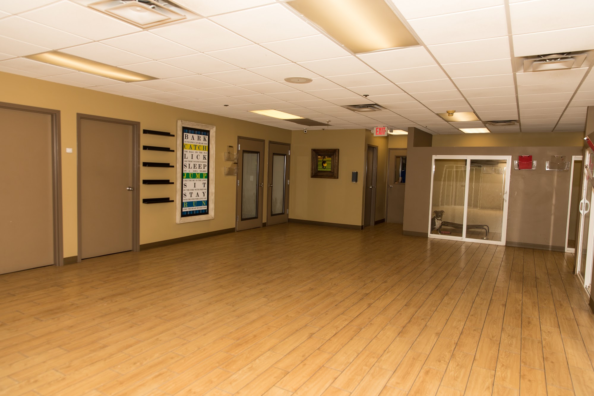 Doggie District - Mesa Mesa