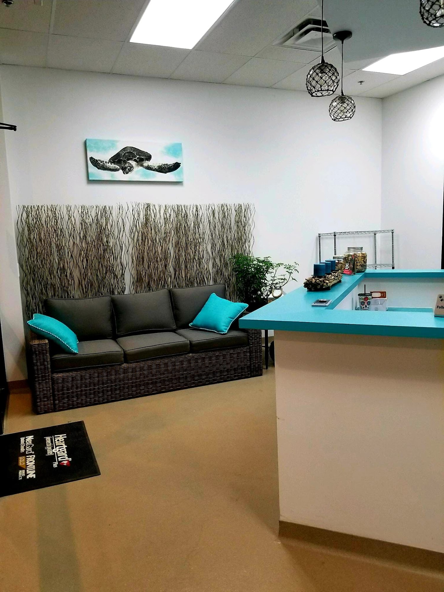 Follow Your Heart Animal Hospital Mesa