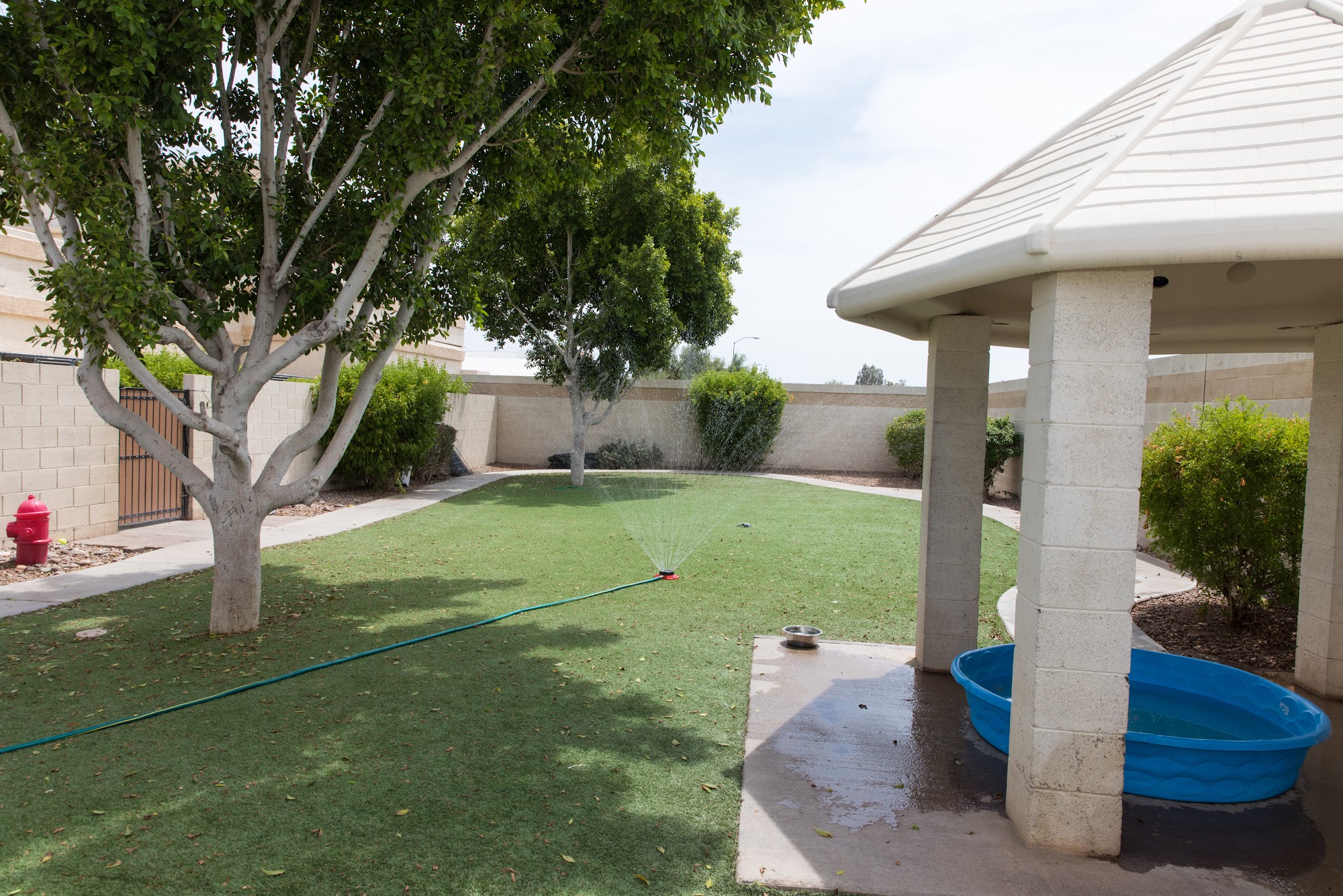 4 Paws Pet Resort Mesa