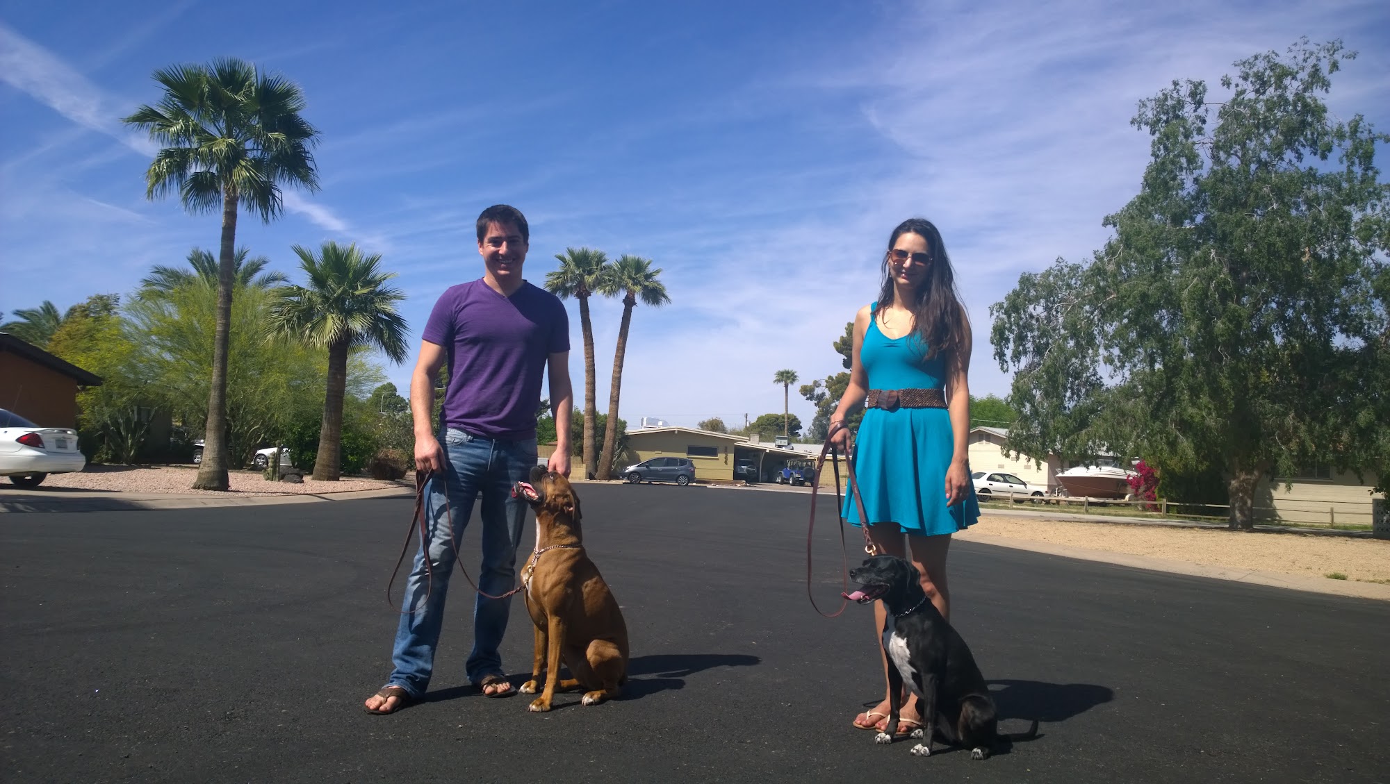 Robinson Dog Training | Veteran K9 Handler | Mesa | Phoenix Mesa