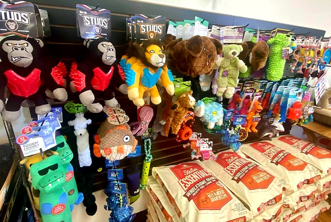 Healthy Paws Market Mesa