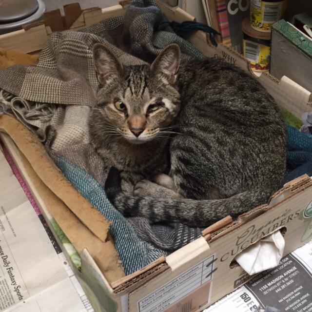 Photo credit: nextdoor