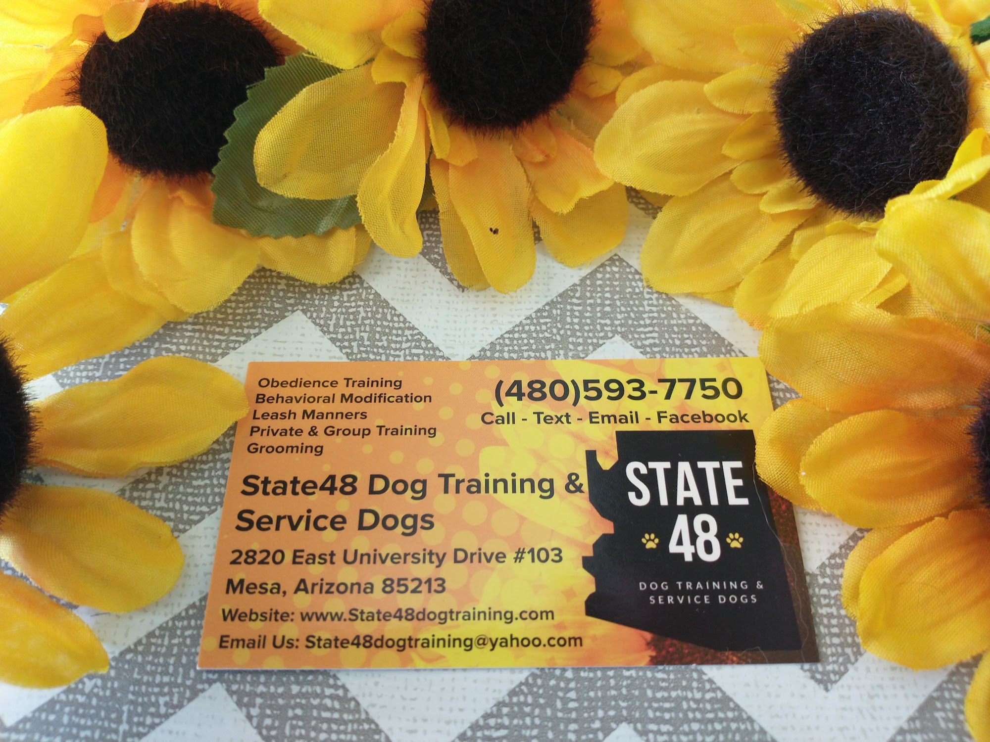 State 48 Dog Training and Service Dogs