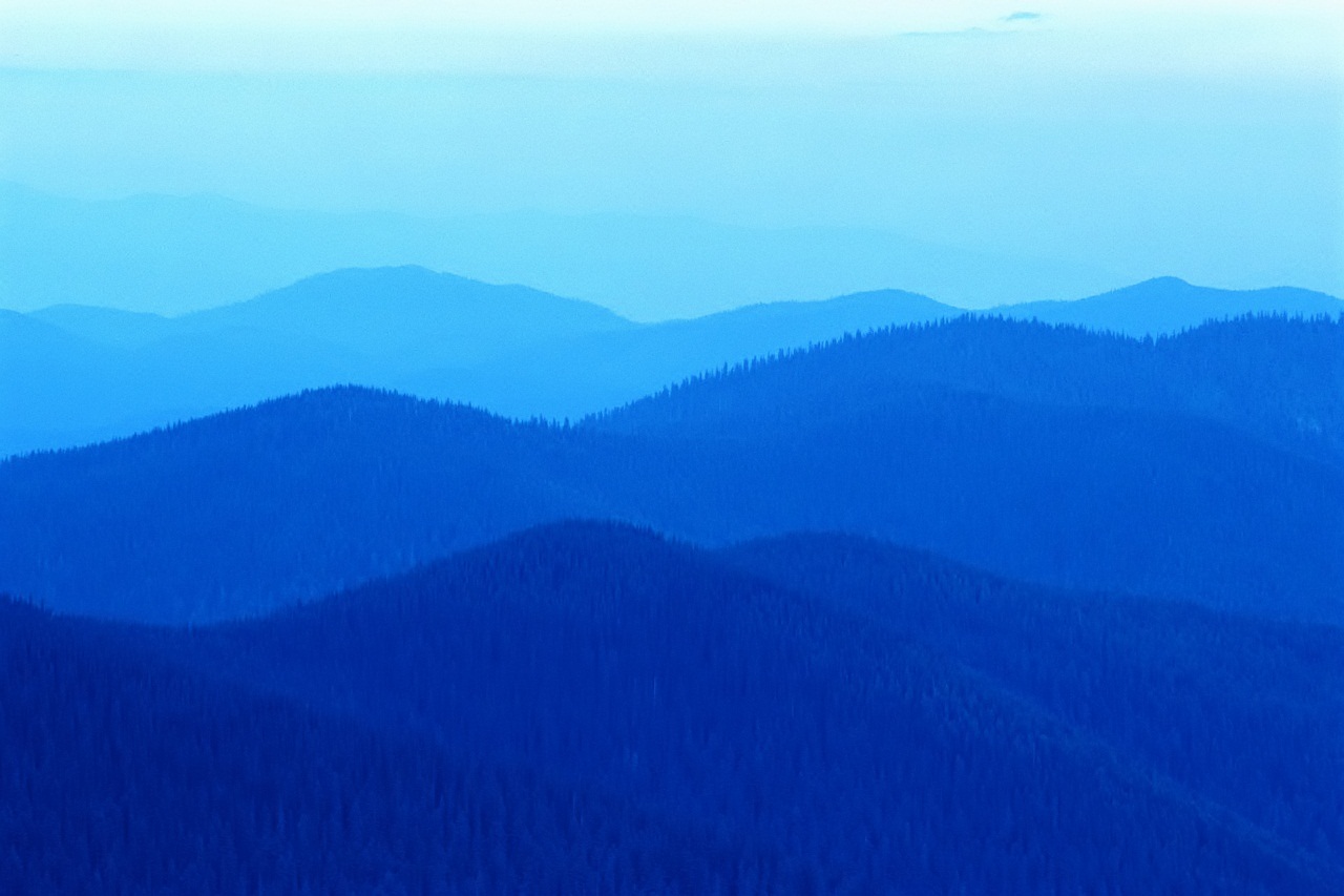 Mountain's Best Cleaning Service