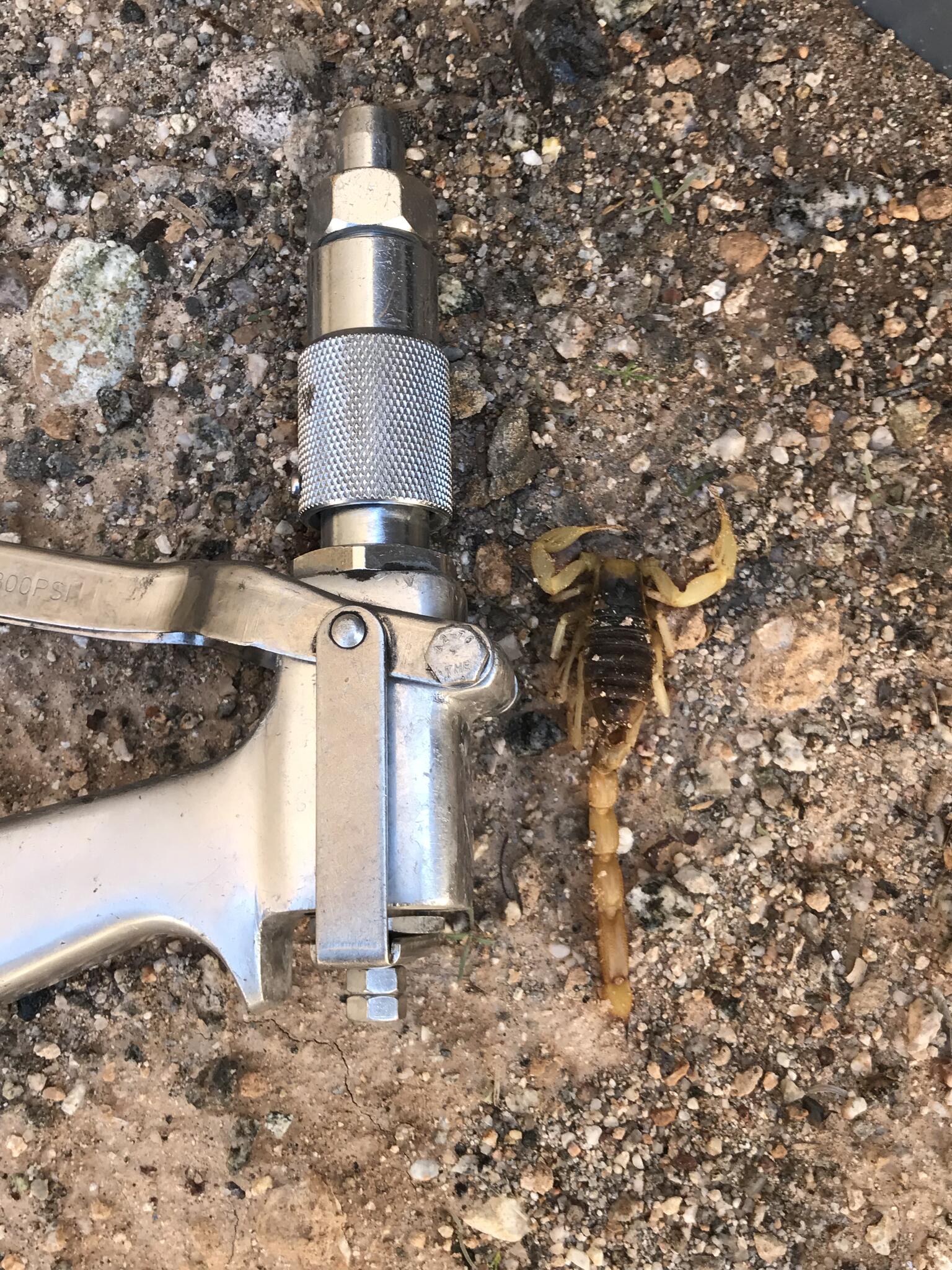 Photo credit: nextdoor