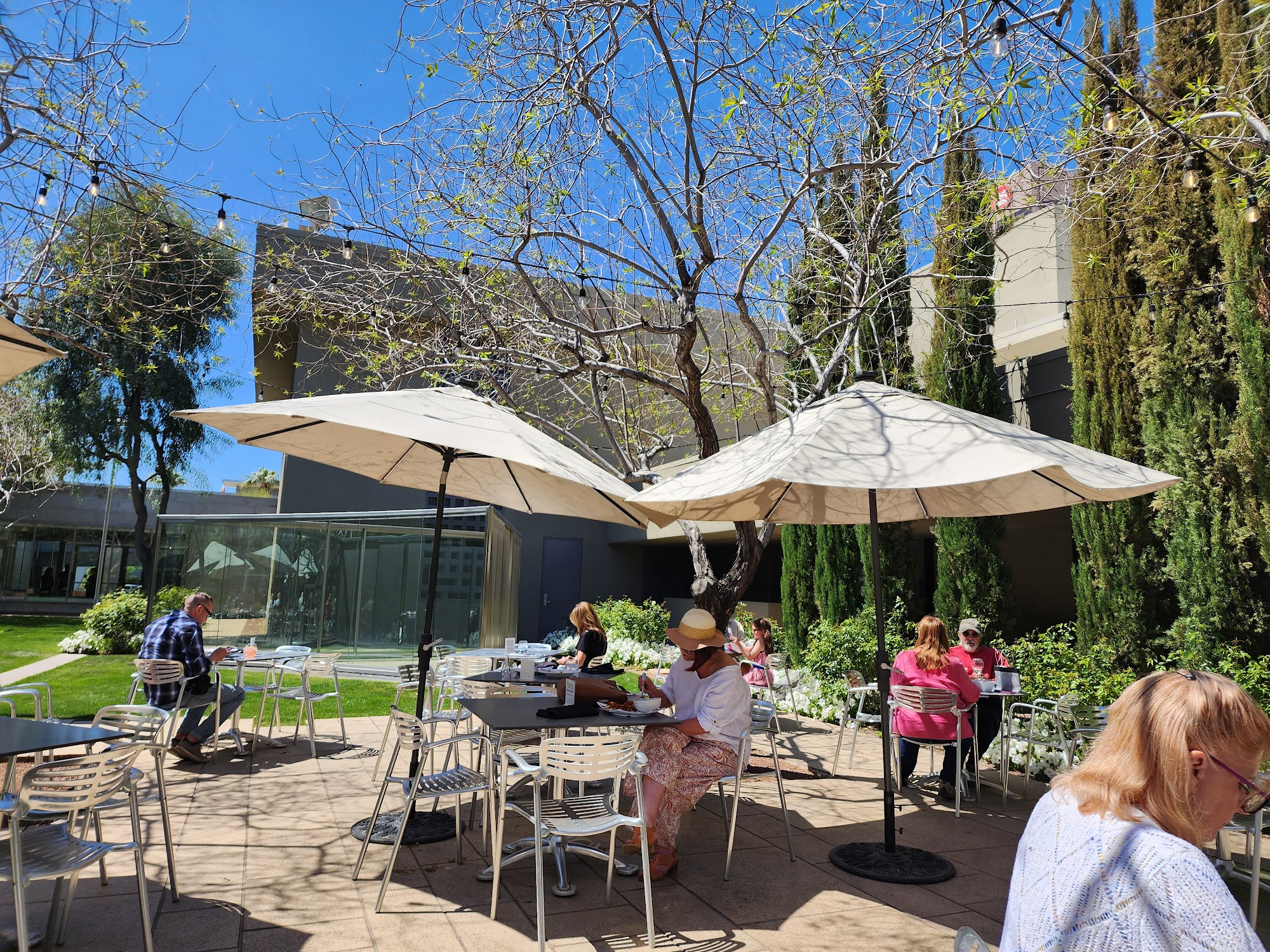 Temporary Café at Phoenix Art Museum