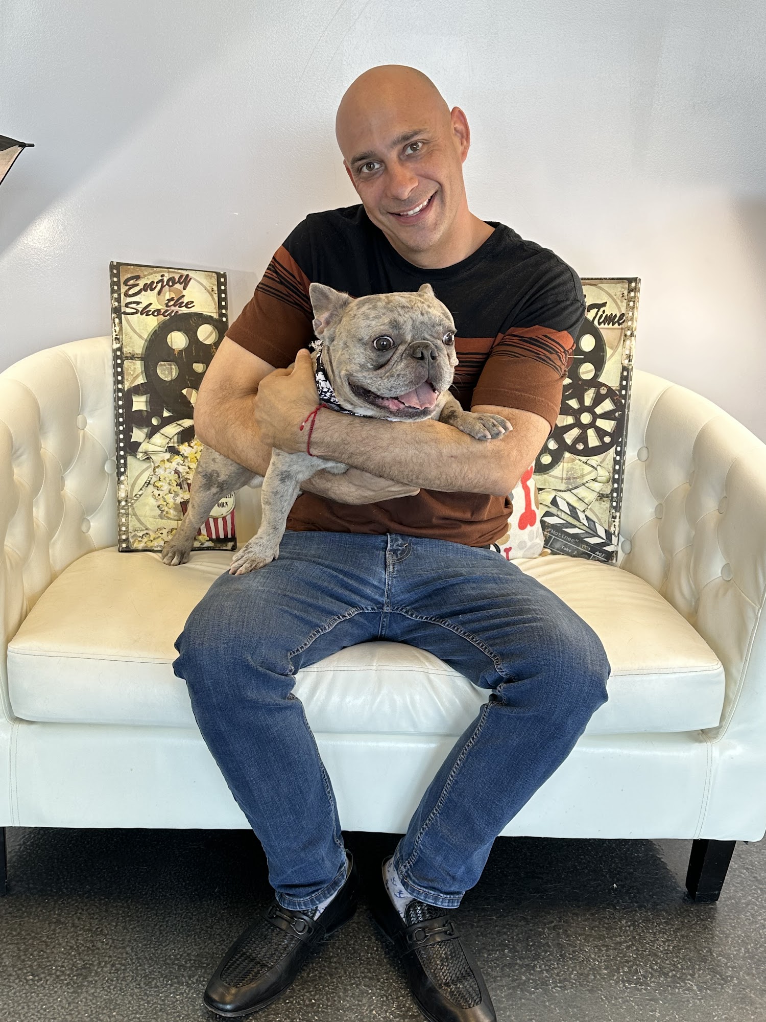 Art of Pet Grooming Phoenix