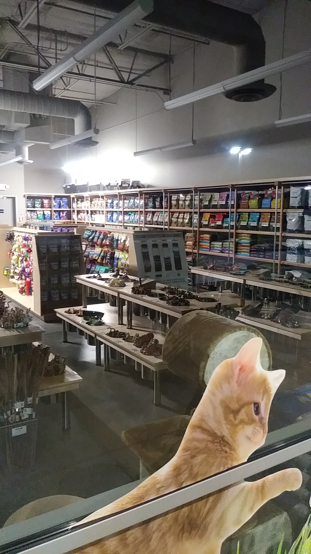 Pet Planet Canyon Crossroads Phoenix