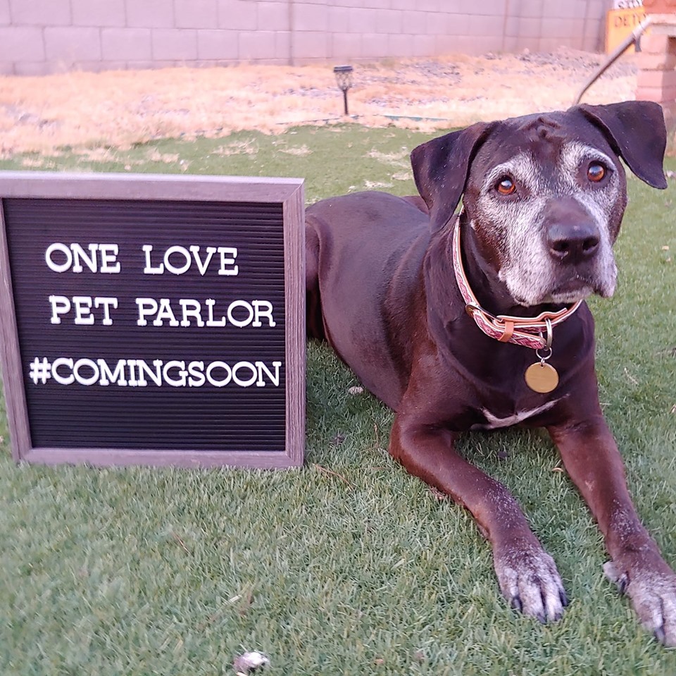 One Love Pet Parlor