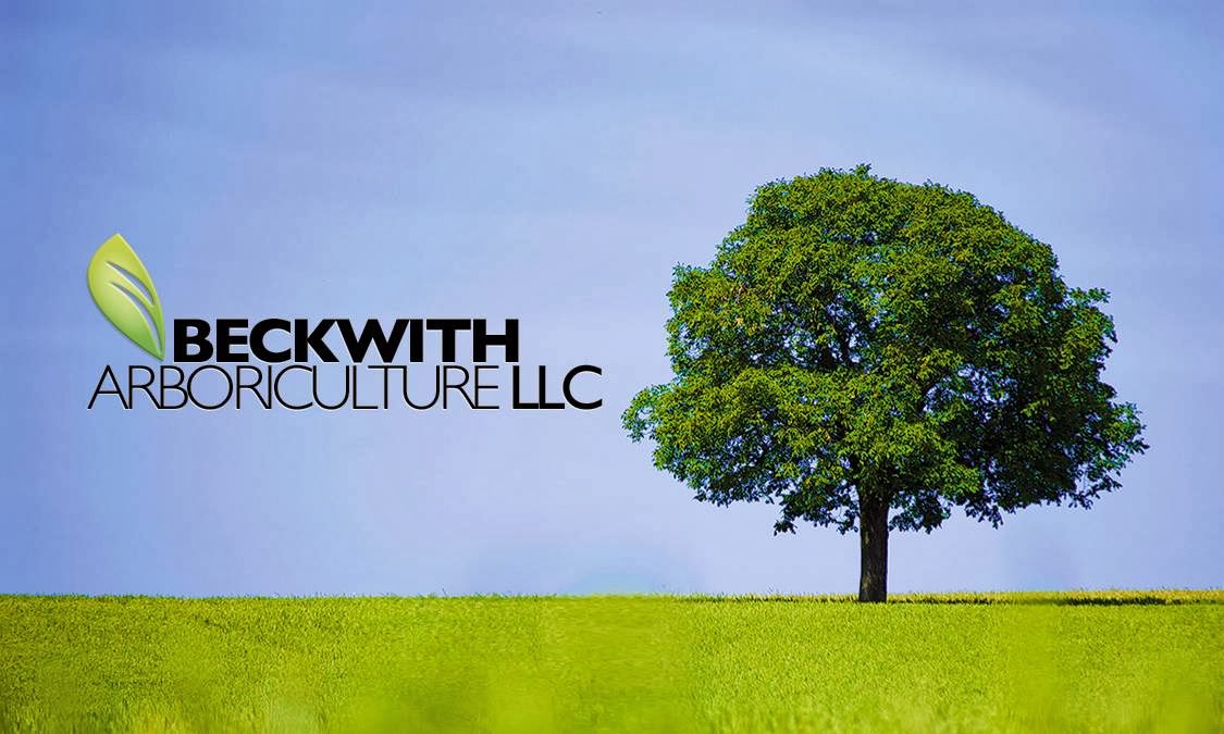 BECKWITH ARBORICULTURE LLC