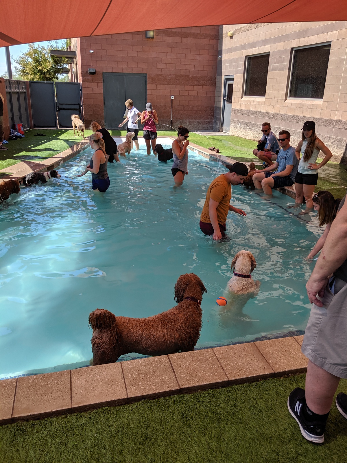 The Barking Dog Scottsdale