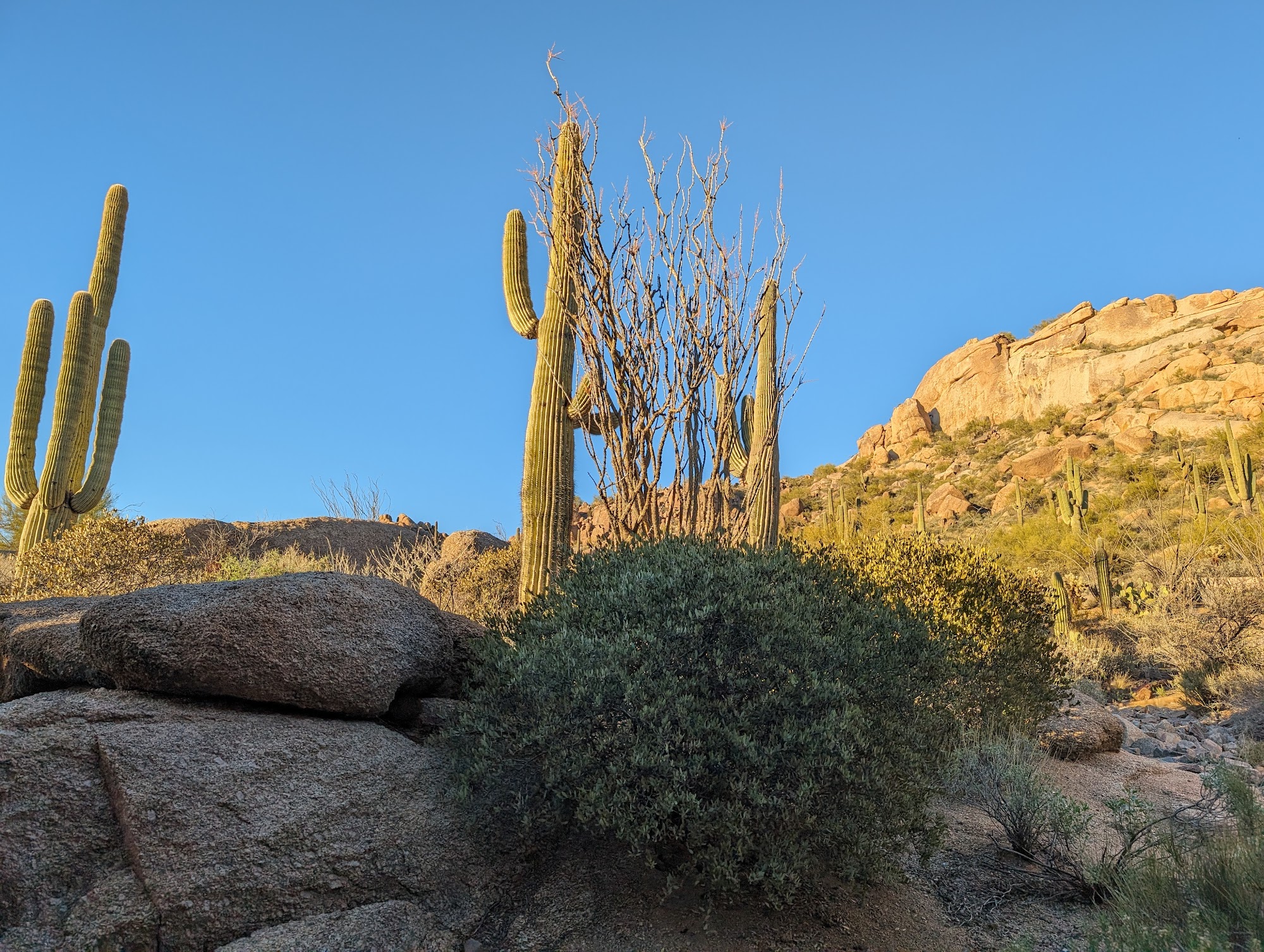 The Spa at Four Seasons Resort Scottsdale at Troon North