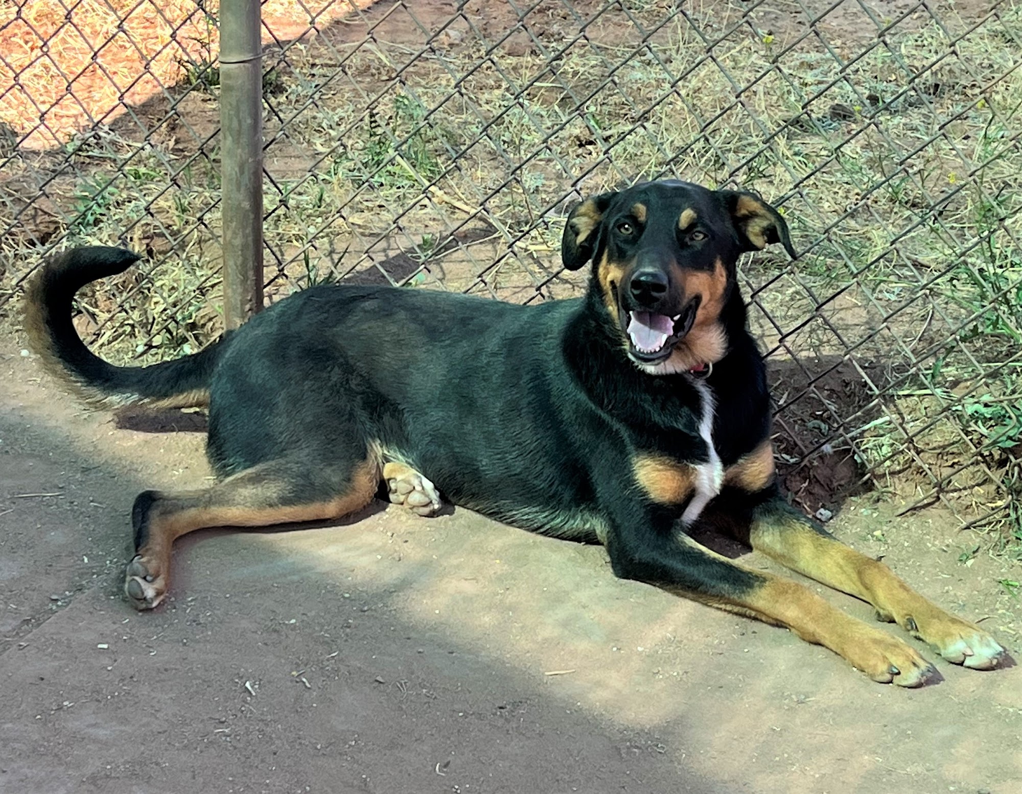 Winslow Animal Control Shelter Winslow