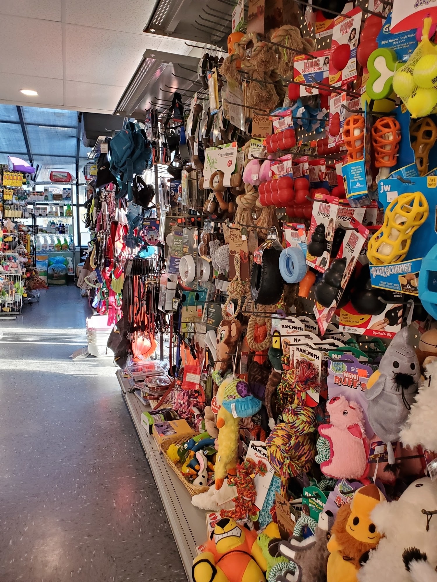 True Blue Aquatics Campbell River