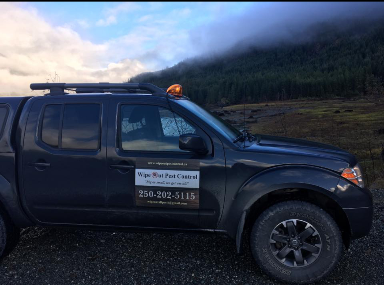 Photo credit: yellowpages.ca