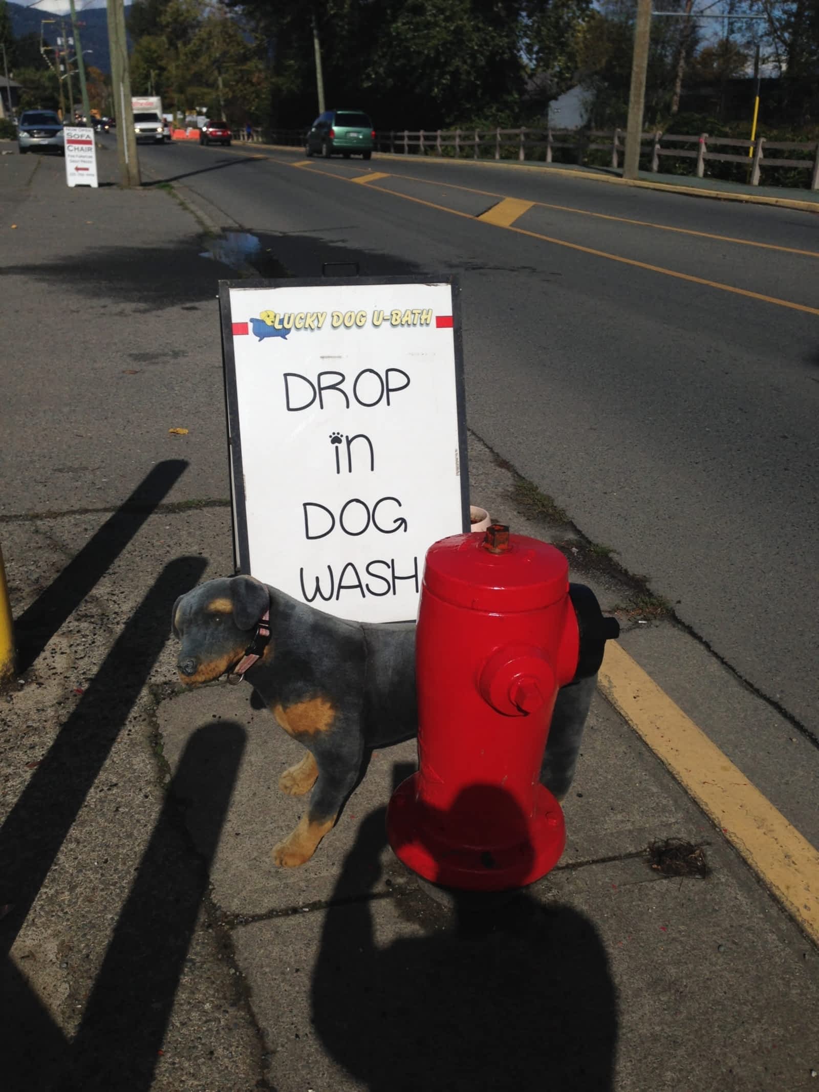 Photo credit: yellowpages.ca