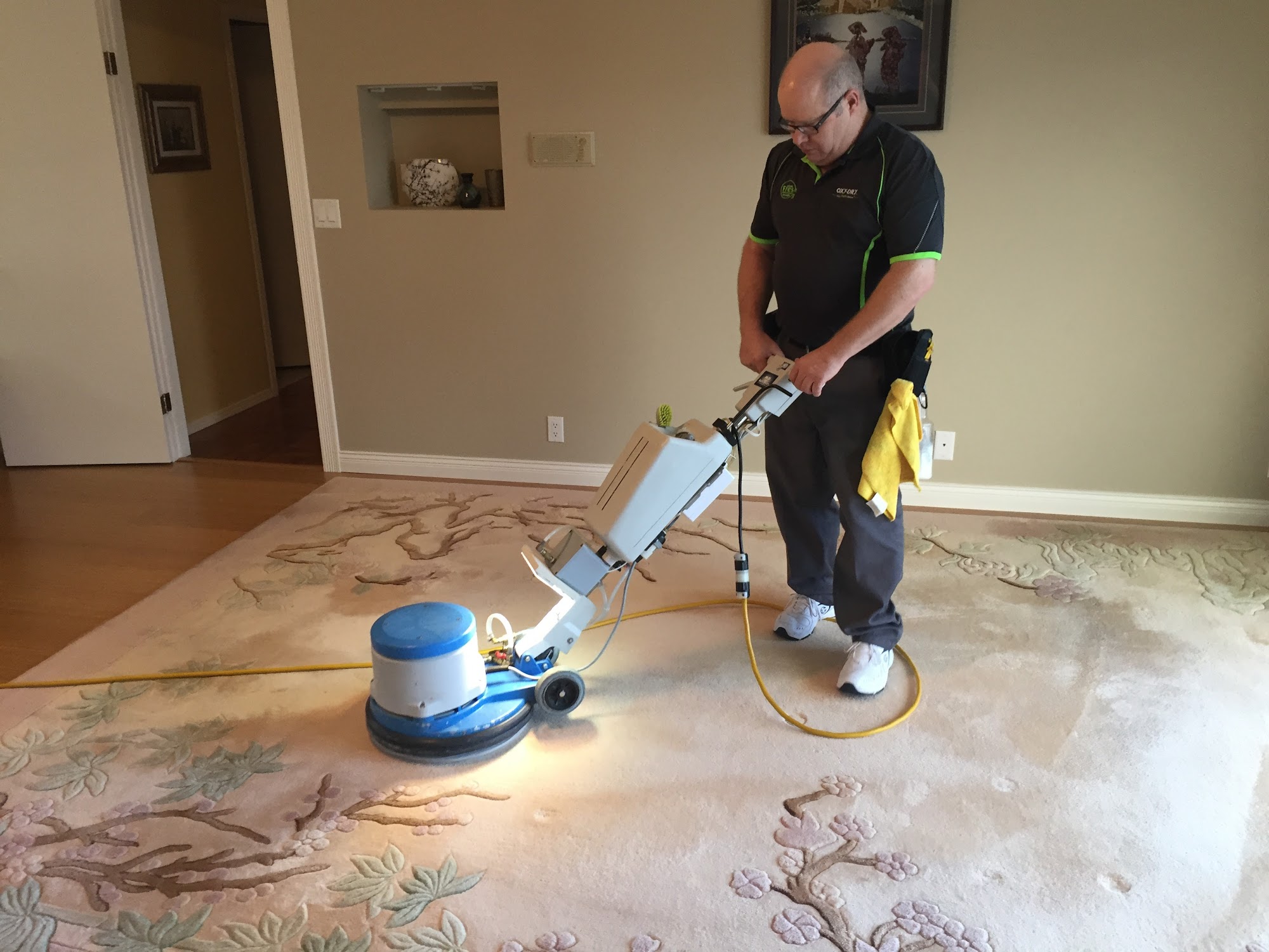 Oxy-Dry® Carpet & Furniture Cleaning