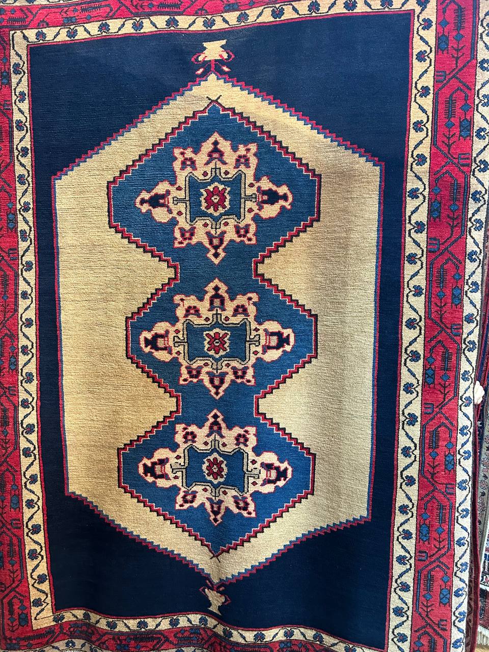 Shenasi Carpet