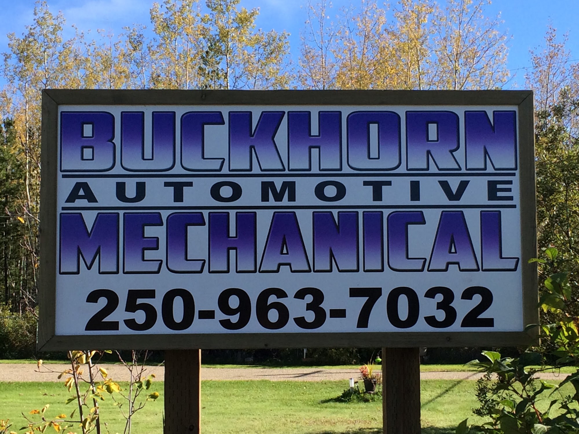 Buckhorn Automotive Mechanical