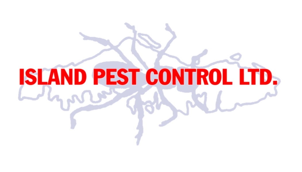 Island Pest Control 2505 Sylvester Rd, Shawnigan Lake British Columbia V0R 2W2