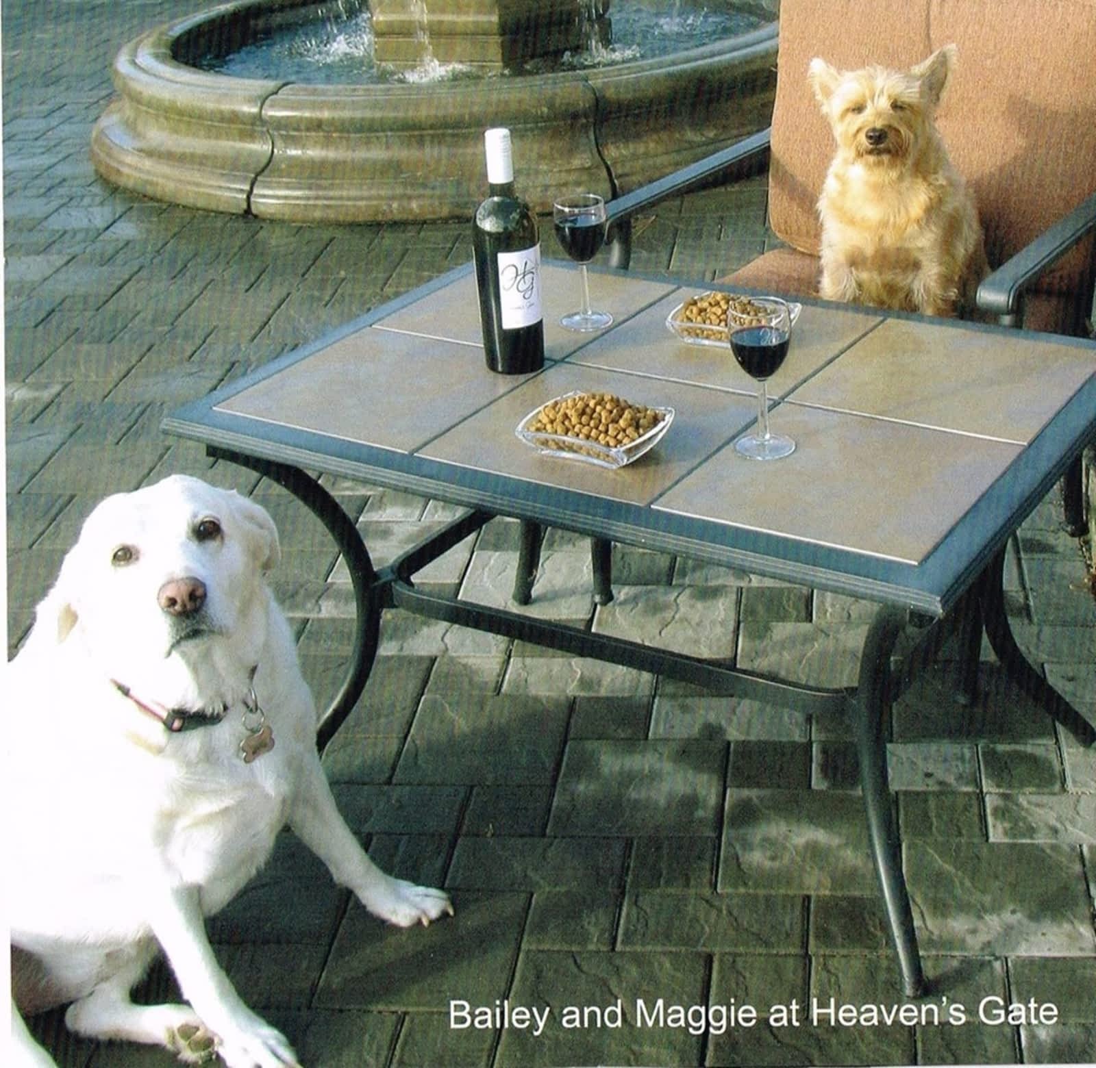 Photo credit: yellowpages.ca