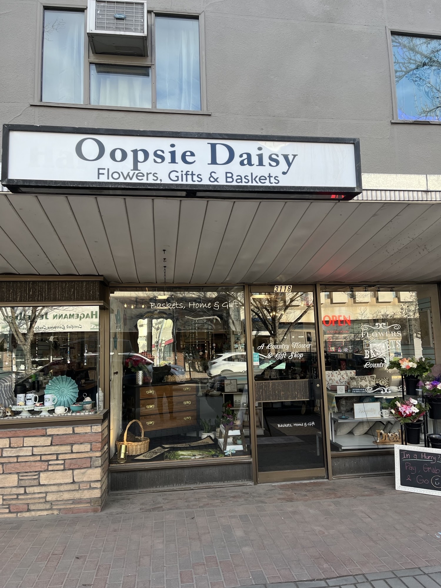 Oopsie Daisy / Formerly Harris Flowers