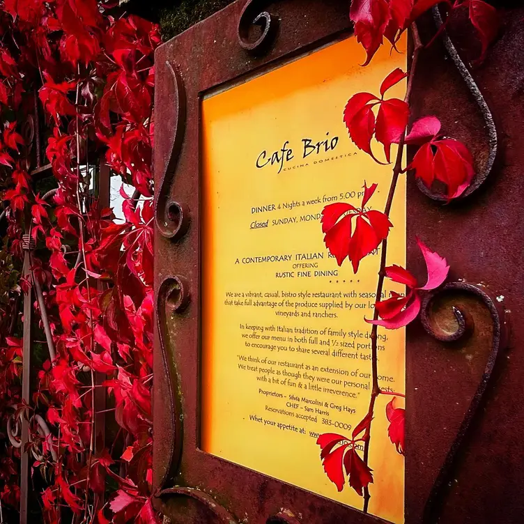 Photo credit: opentable
