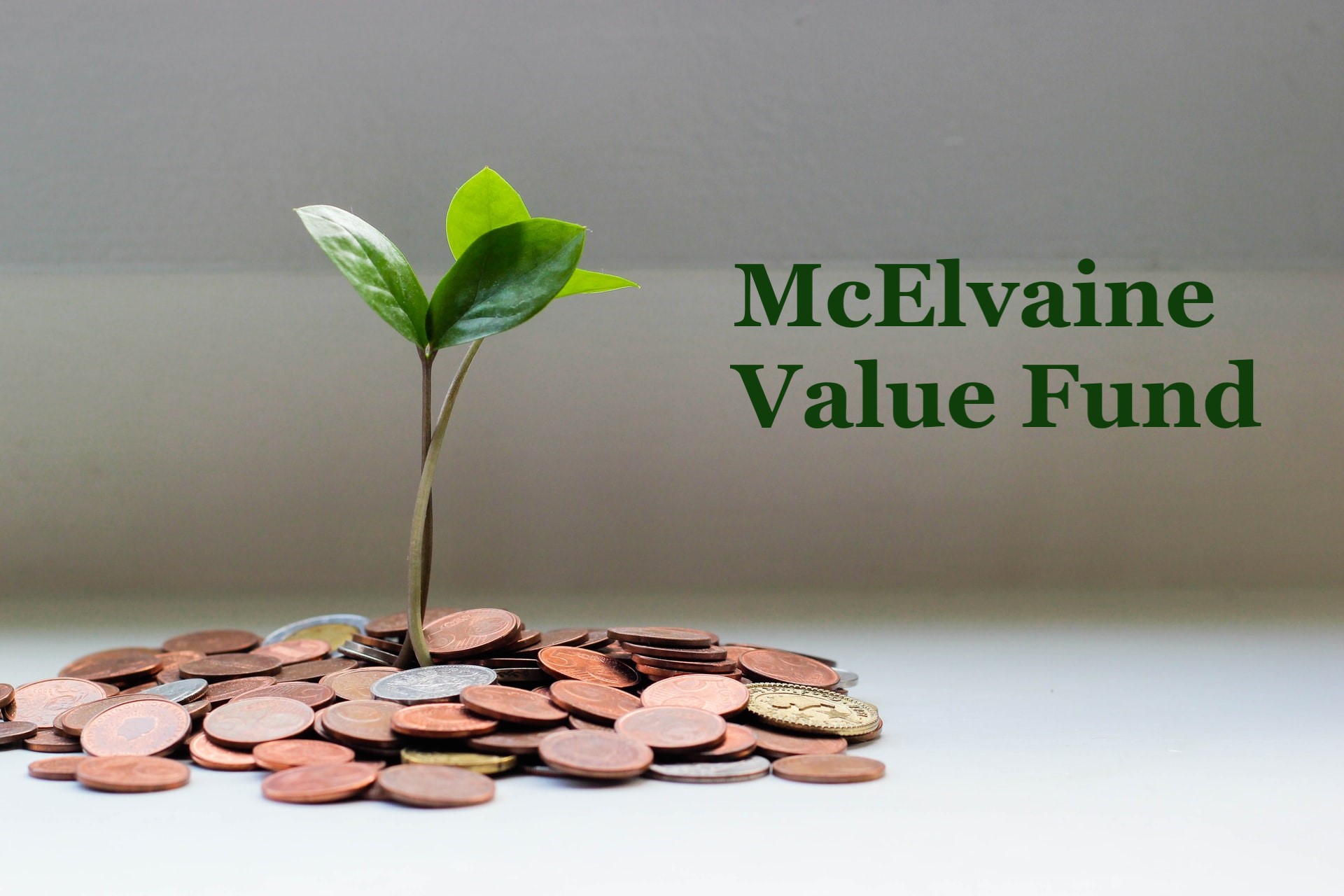McElvaine Investment Management Ltd