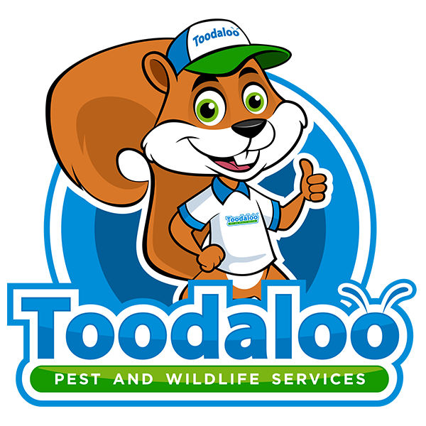 Toodaloo Pest Control