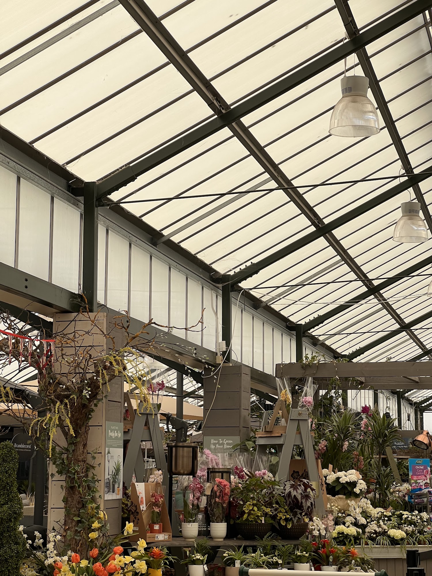 Frosts Garden Centre At Willington