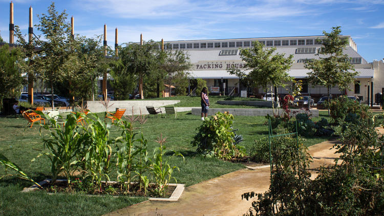 Photo credit: timeout