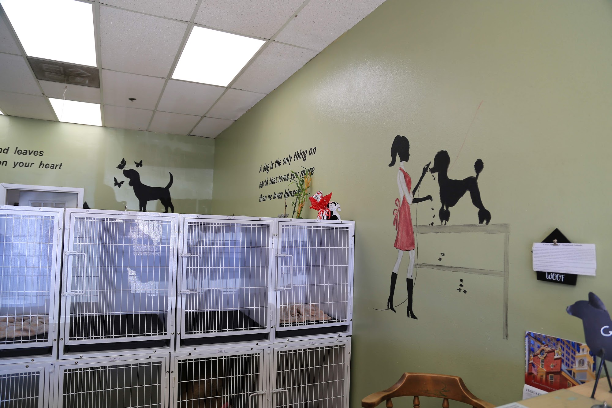 Paws & Claws Animal Grooming Anaheim