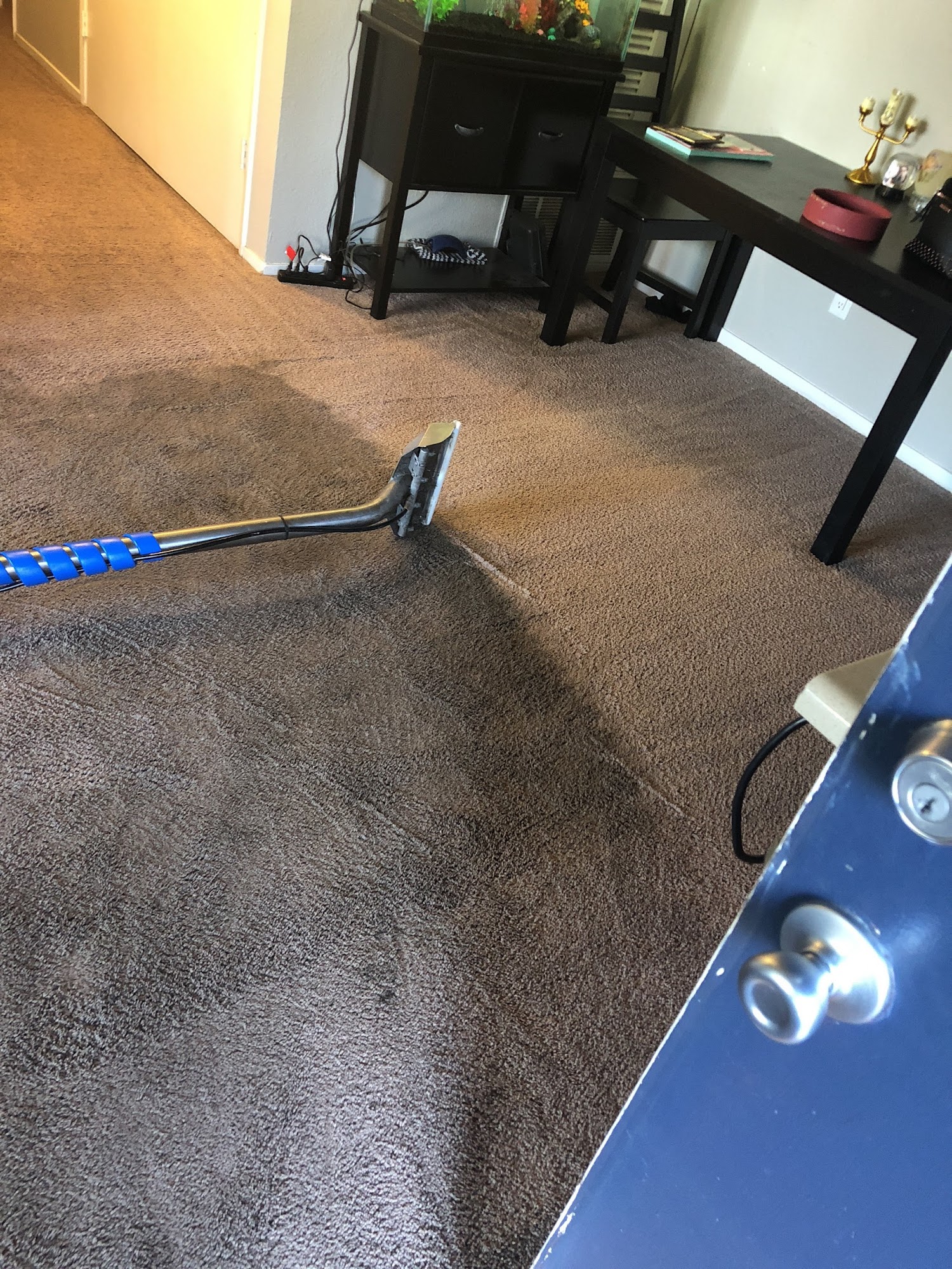 Next Level Carpet Cleaning Care