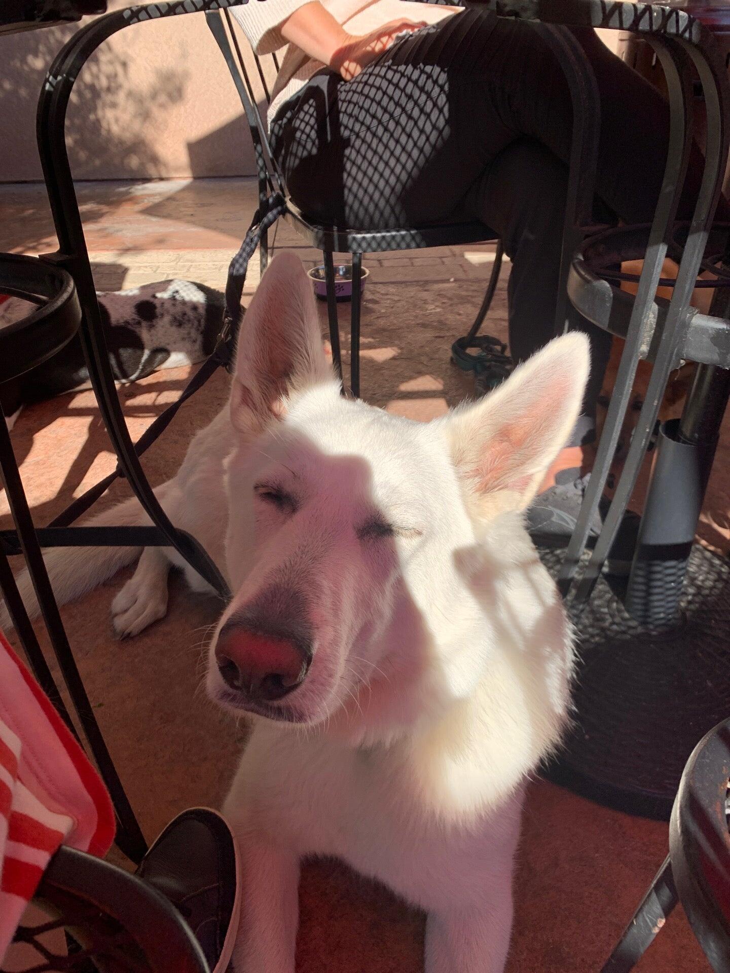 Photo credit: nextdoor