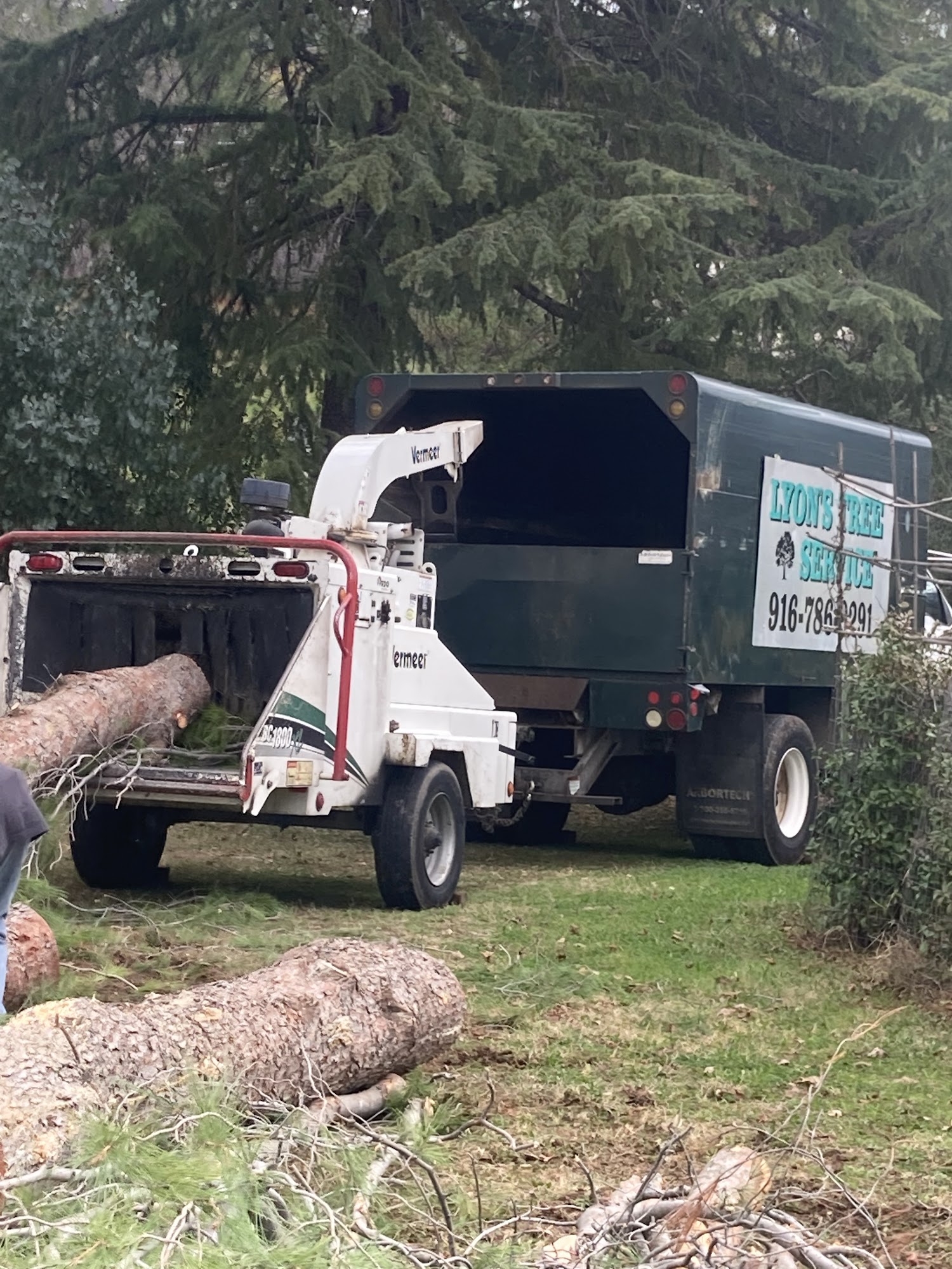 Lyons Tree Service