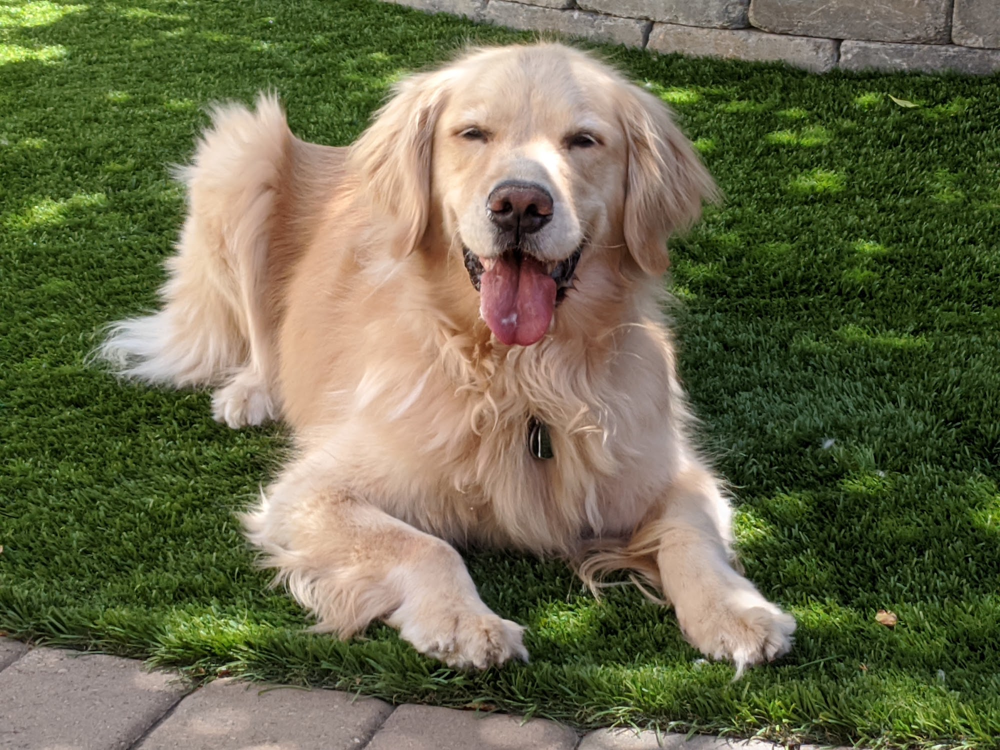 Berkeley Humane Berkeley