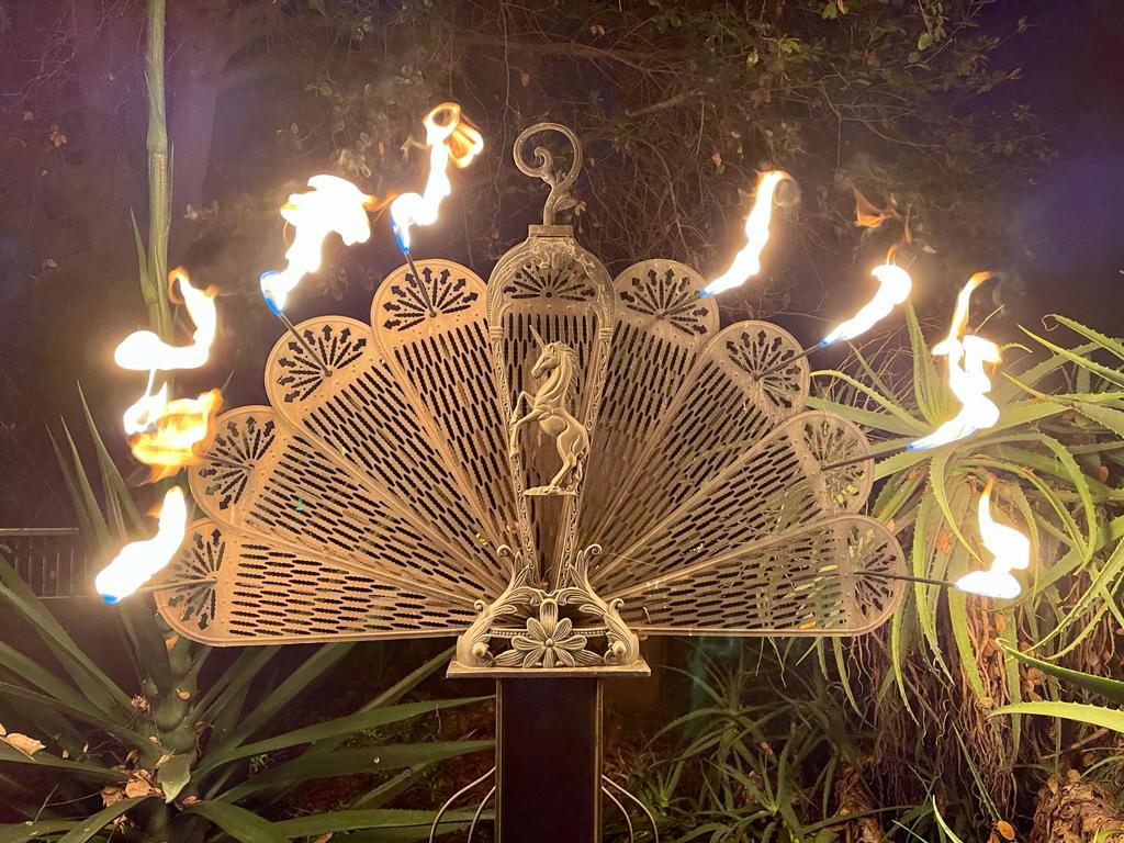 The Fire Garden