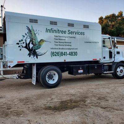 Tree Services Bradbury Winston Ave, Bradbury California 91008