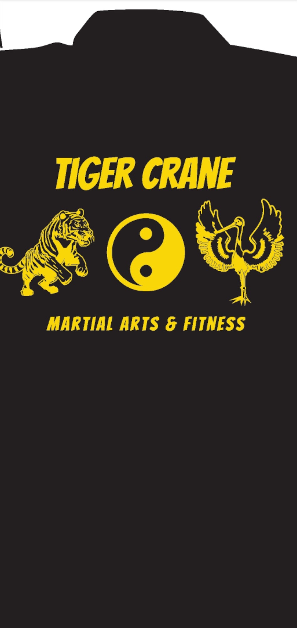 Tiger Crane Martial Arts and Fitness 18348 1/2 Soledad Canyon Rd, Canyon Country California 91387