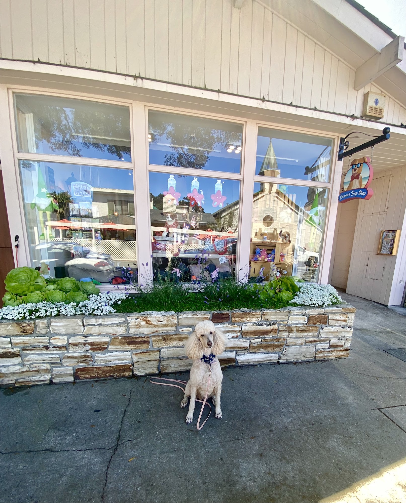Carmel Dog Shop