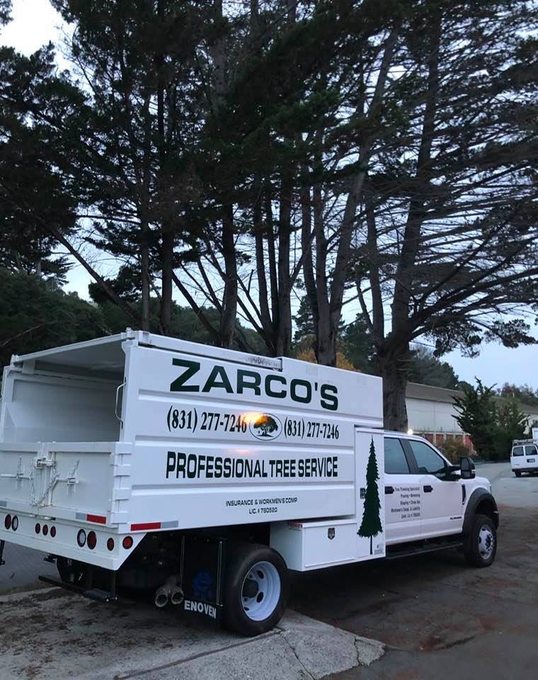 Zarco's Professional Tree Service 25 Camino De Travesia, Carmel Valley California 93924