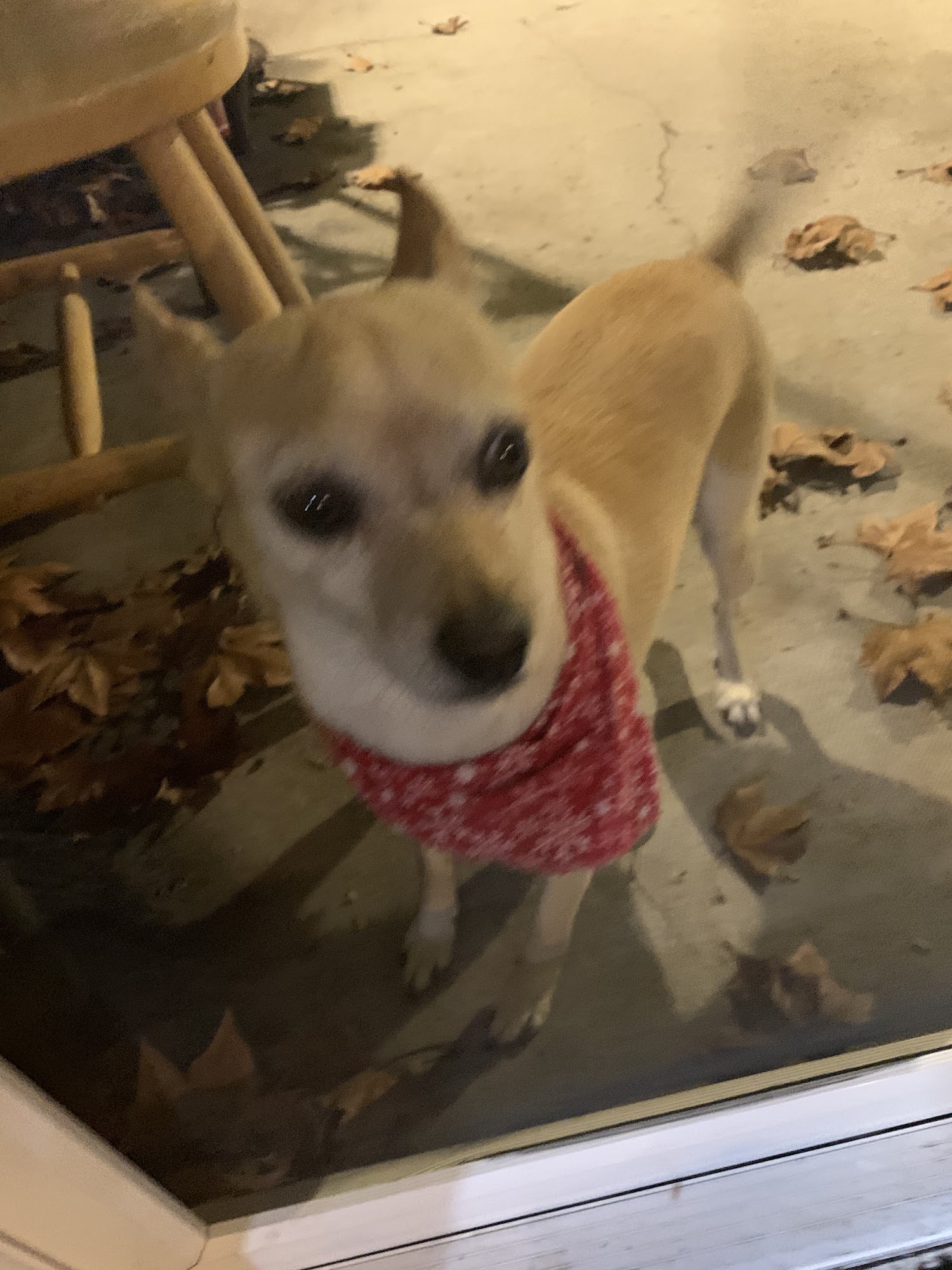 Georgiana's Groom Shop Chatsworth